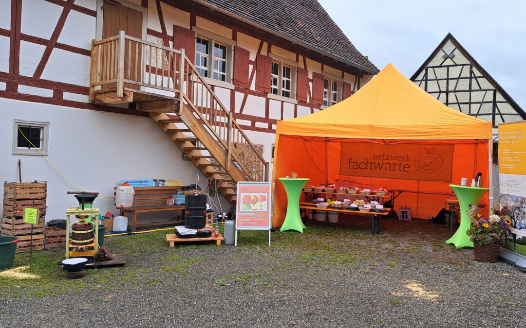Das Netzwerk beim Herbstmarkt in Kürnbach 2025